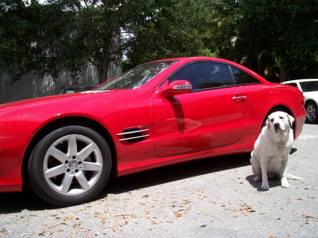 Mercedes with Bud (640x480)